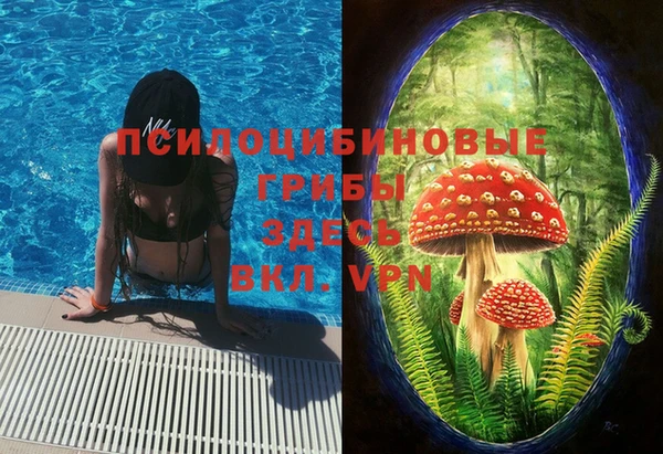соль курить ск Алексеевка