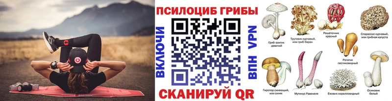 mega ссылка  Кола  Галлюциногенные грибы MAGIC MUSHROOMS 
